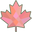 Custom Frames logo